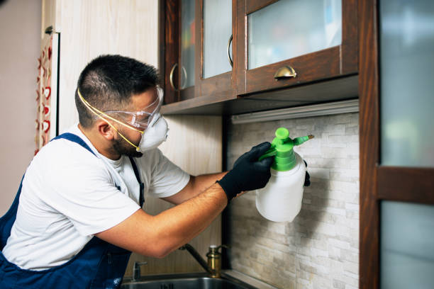 Best Wasp Removal Services  in Shell Point, SC