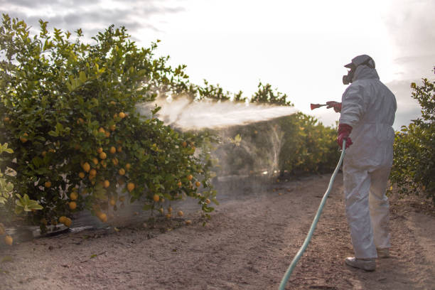 Best Pest Inspection Near Me  in Shell Point, SC
