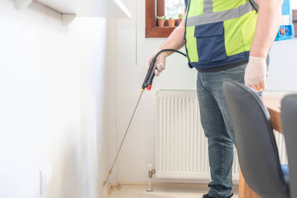 Best Mosquito Control Services  in Shell Point, SC