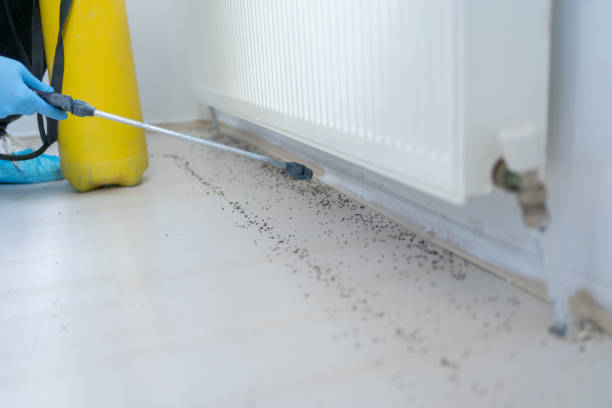 Shell Point, SC Pest Control Company