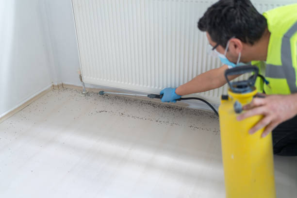 Best Cockroach Control Services  in Shell Point, SC
